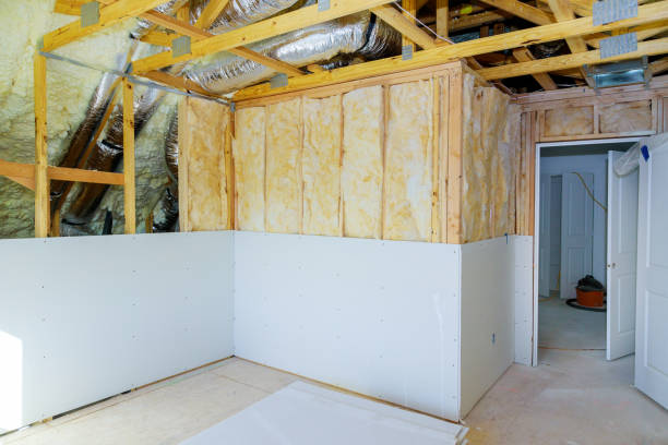 Best Insulation Repair Services  in Vicksburg, MS