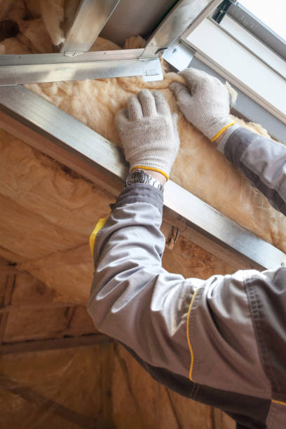 Best Insulation Removal  in Vicksburg, MS