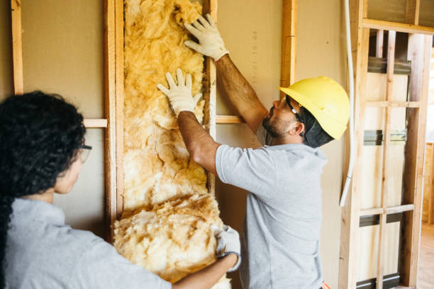 Best Affordable Insulation Services  in Vicksburg, MS